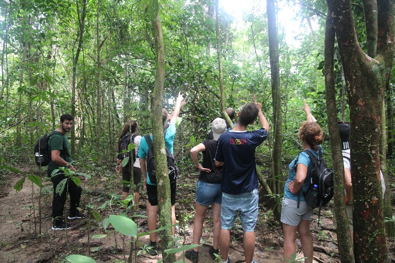 DIA 13: EXCURSIÓN DE UN DÍA A CORCOVADO - DE TORTUGAS Y PEREZOSOS. COSTA RICA 2019 (37)