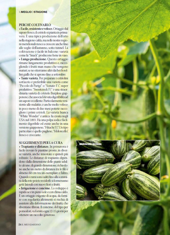 il mio Giar Apr Mag 2026 (11)