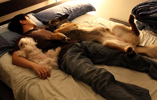 mans-best-friend-2