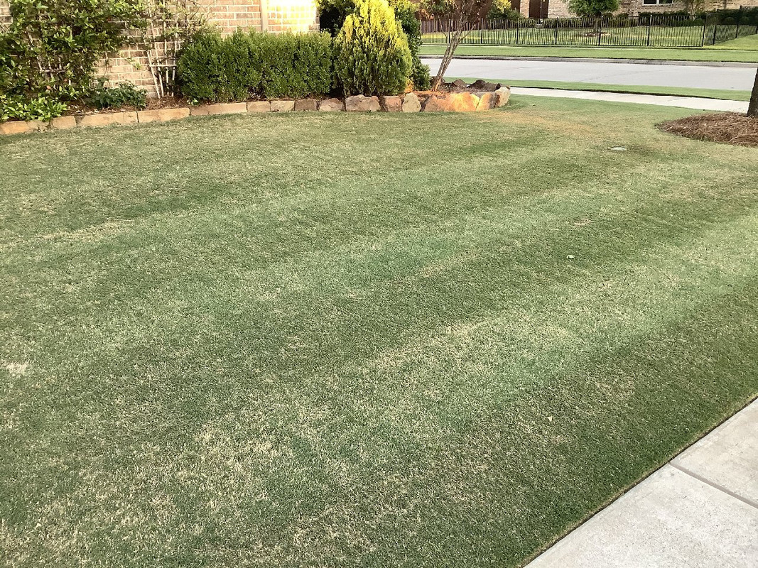 Reel mower washboarding hot sale