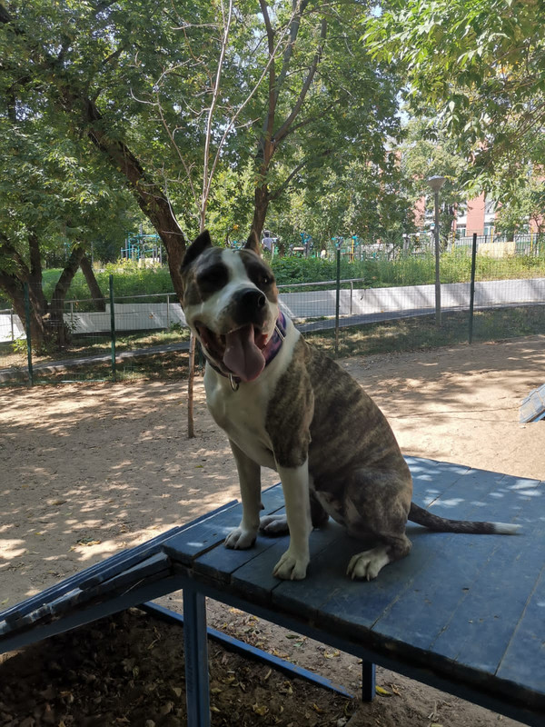 FDF3814B-DB74-4EF3-92F5-10B8F385DE2F