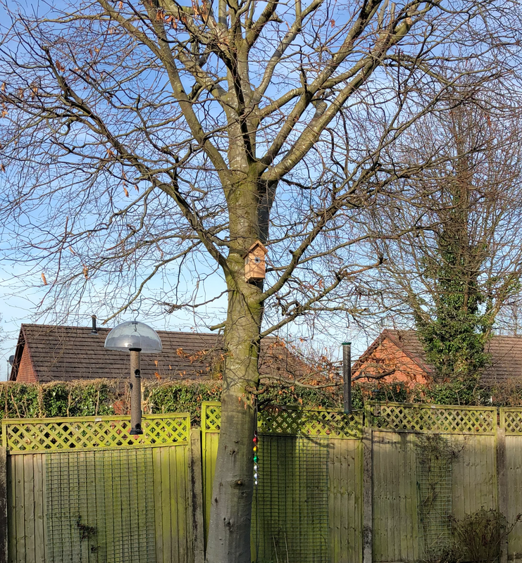 596DE07F-4878-43DE-98A3-E3D4A4A242F1