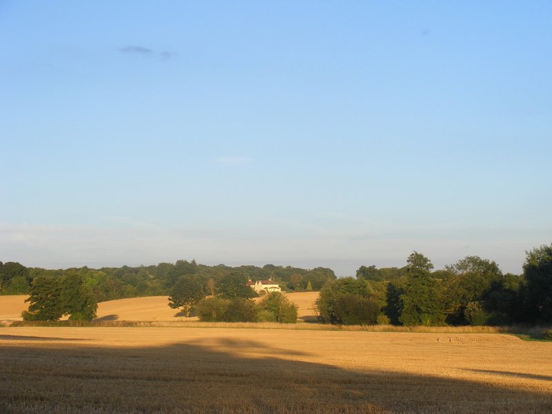 DSCF5319.jpg