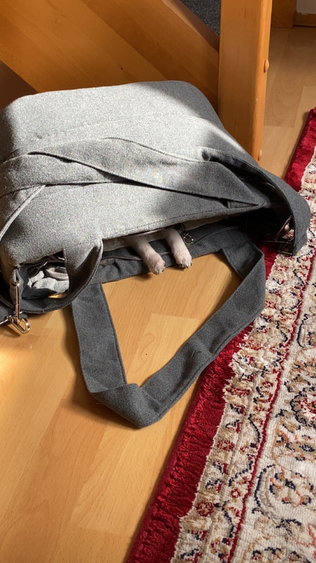 F662EAC7-87F6-4D82-934D-B0256C0D31A8