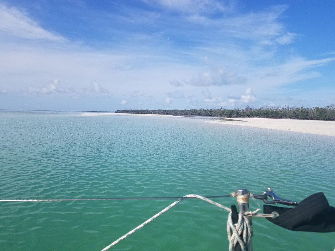 CA0D09F3-F0A7-4731-BFF8-A223DB798AB5