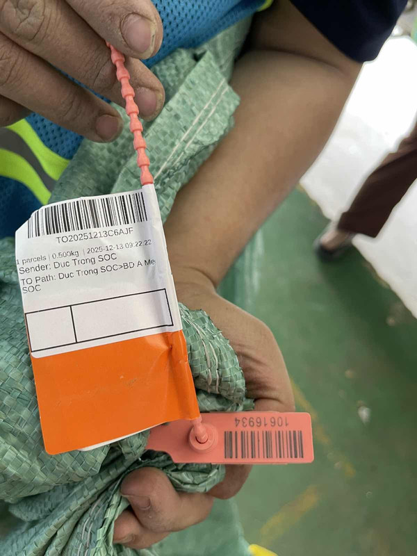 Sea Talk IMG 20251213 125004