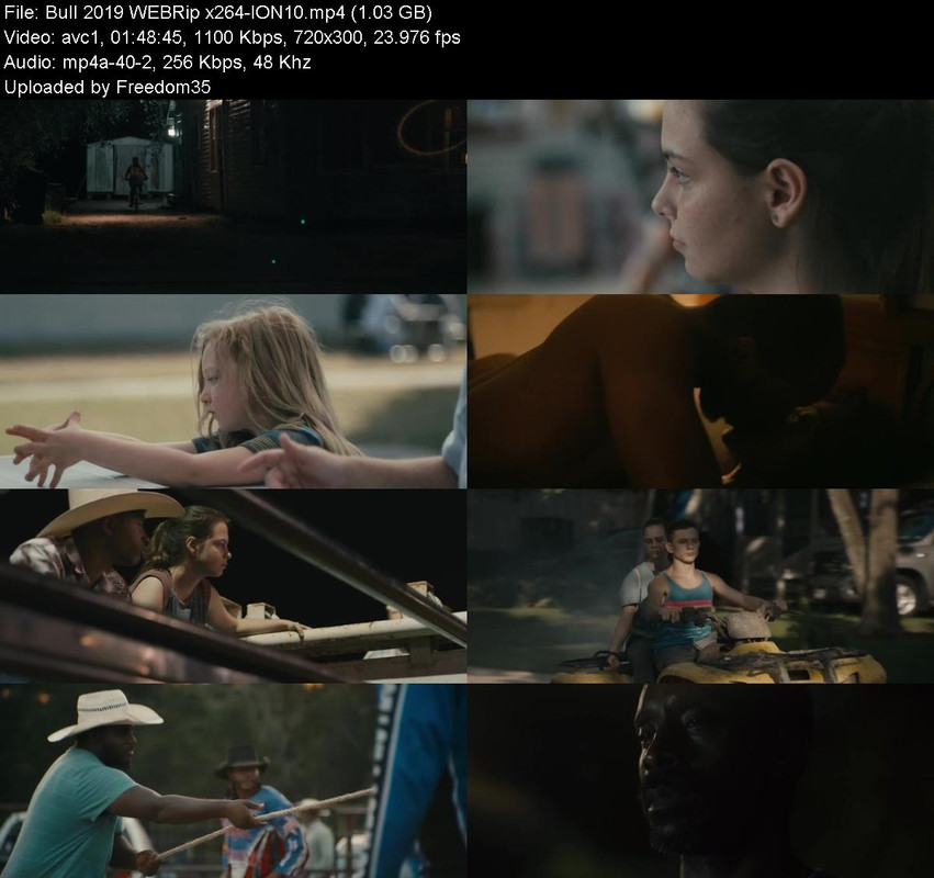 Bull-2019-WEBRip-x264-ION10.jpg