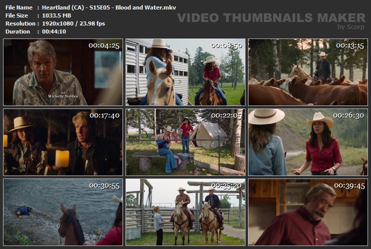 Heartland (CA) - S15E05 - Blood and Water.mkv