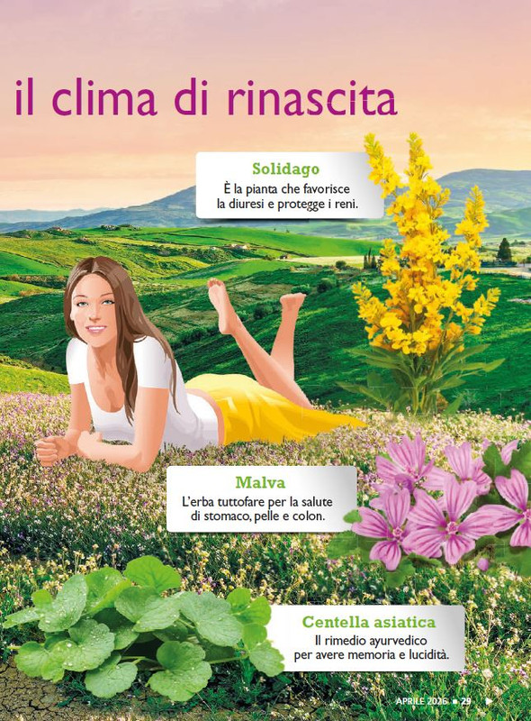 Sal Nat Apr 2026 (2)