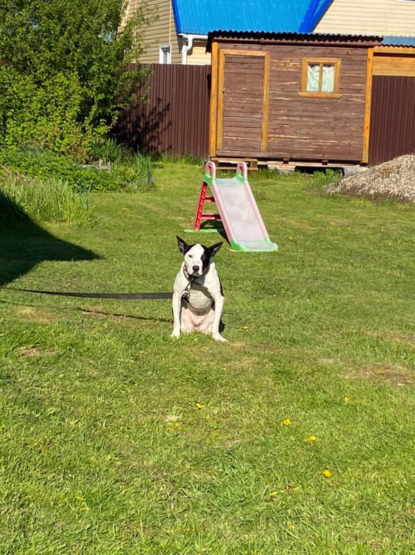 44A6302A-0FC2-4EA6-8990-7DB50B55DF98