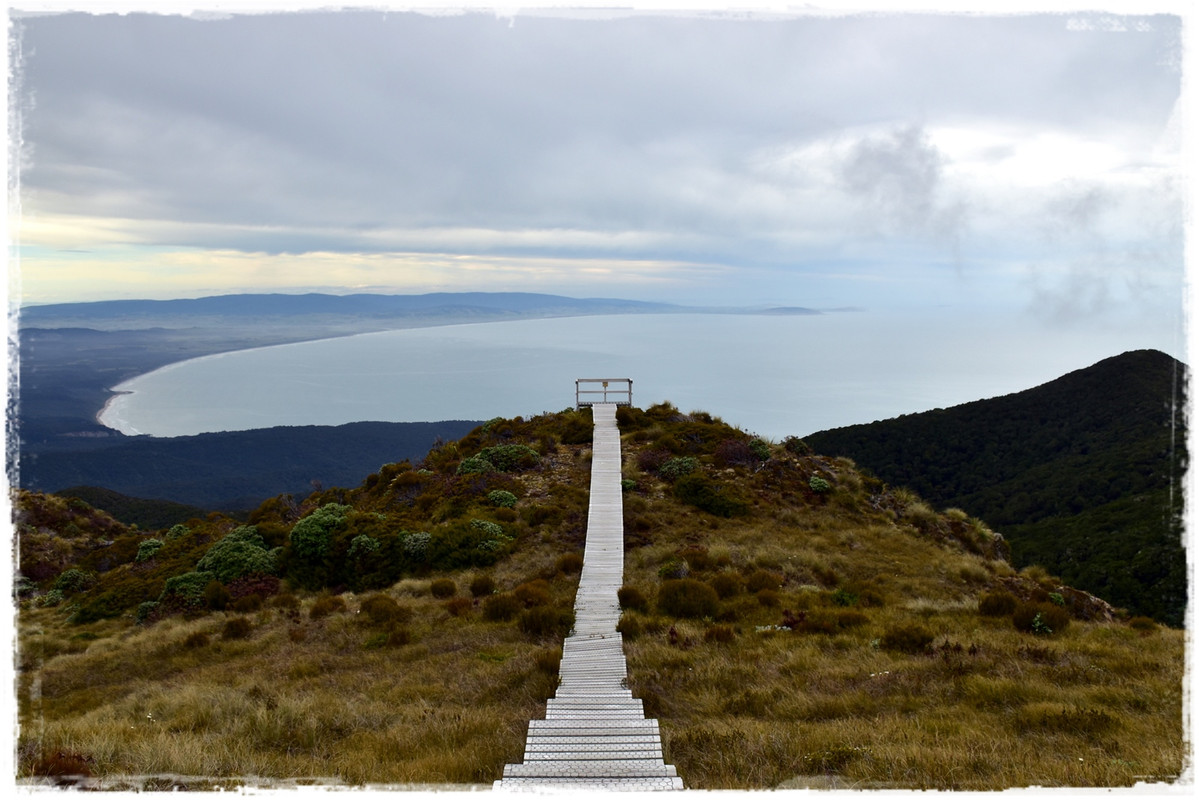 Escapadas y rutas por la Nueva Zelanda menos conocida - Blogs de Nueva Zelanda - Fiordland NP: Humpridge Track (febrero 2021) (25)