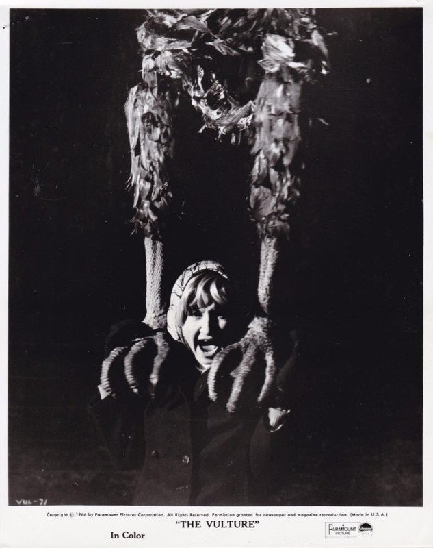 vulture 67