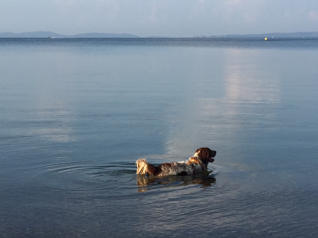 25FF6D0B-760F-4634-B6A8-ACD2C563DF8F