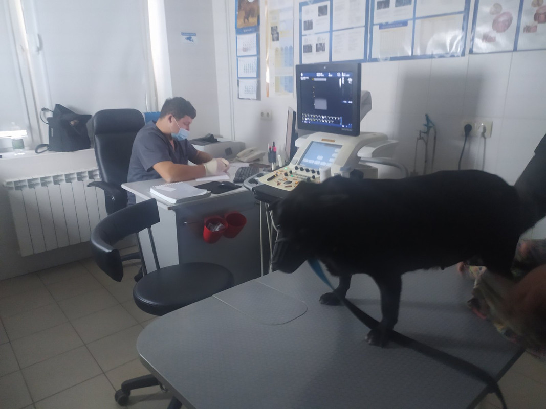 изображение_viber_2021-09-29_01-02-02-033