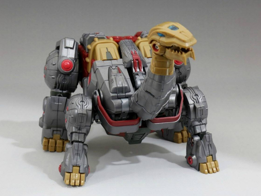 11050719_619275084838665_7861010995943552493_o