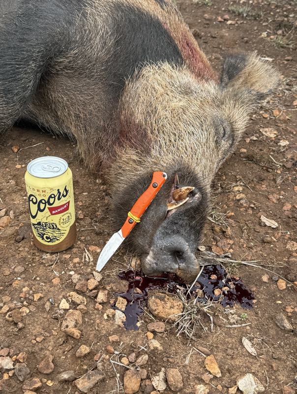 Screen Shot 2025-07-15 at 12.53.21 AM