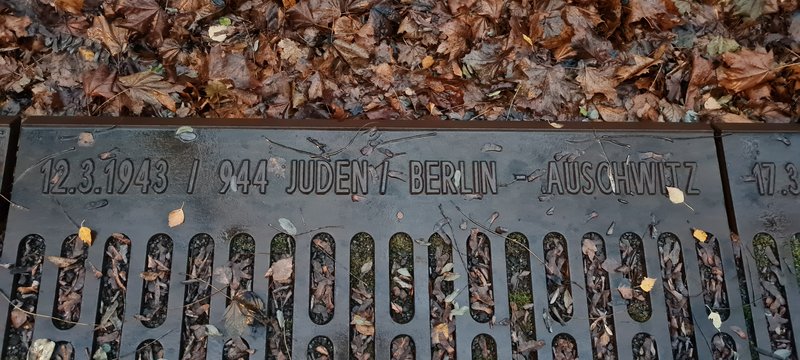 Berlín: planes que nunca nadie te contaría - De Berlín a Sajonia: la magia de la Navidad (16)
