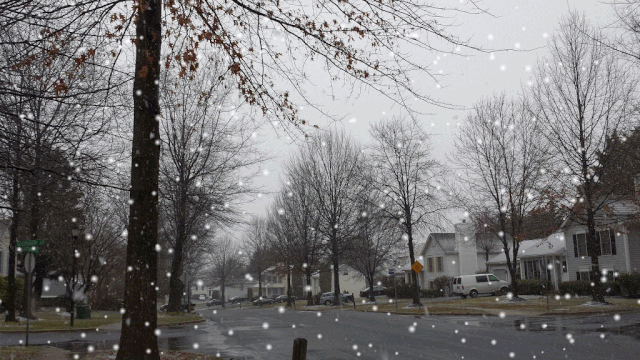 [Image: IMG-6204.gif]