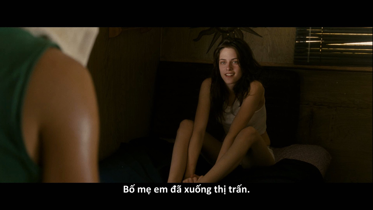 Into.the.Wild.2007.1080p.Bluray.REMUX.VC-1.TrueHD.5.1-4K4U.mkv_snapshot_01.40.57.134