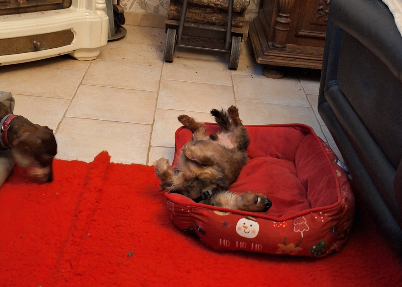 [Image: 20260102-205327.jpg]