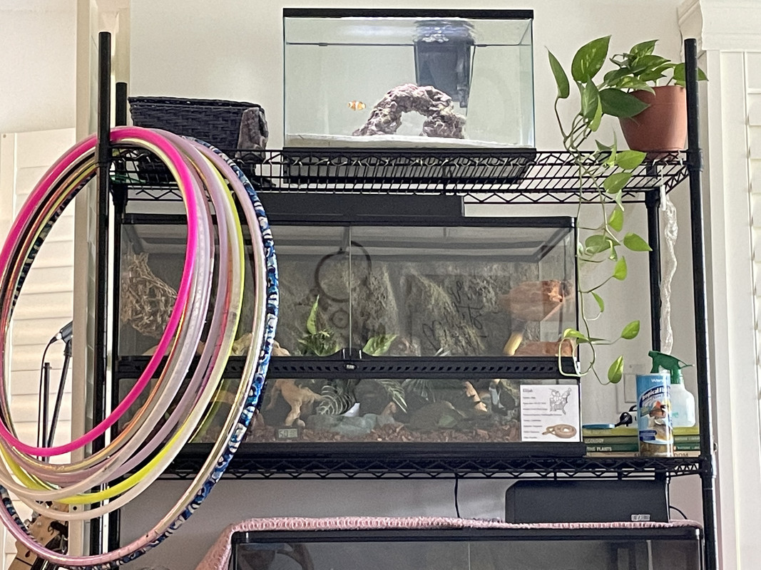 081D49C8-F4B6-45E6-BF96-76D30C500068