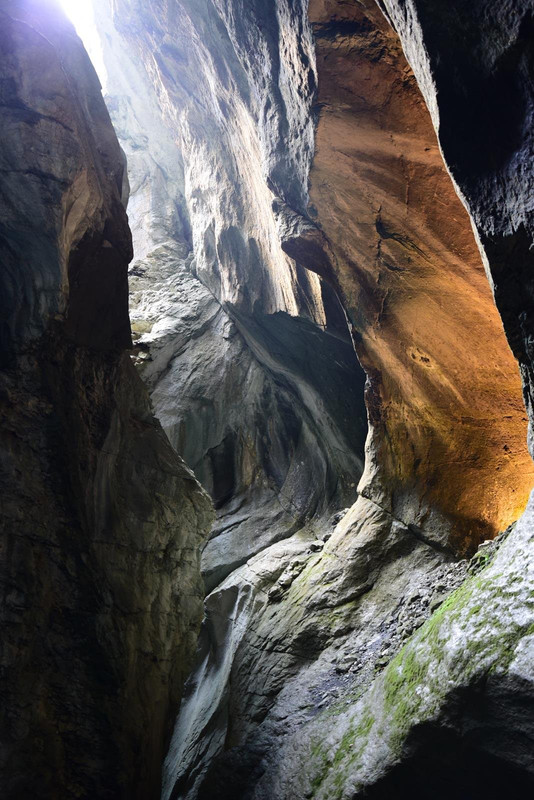 Huyendo del COVID a los Alpes (2020) - Blogs of Switzerland - De casa a Grindelwald (Zona de Interlaken) (19)
