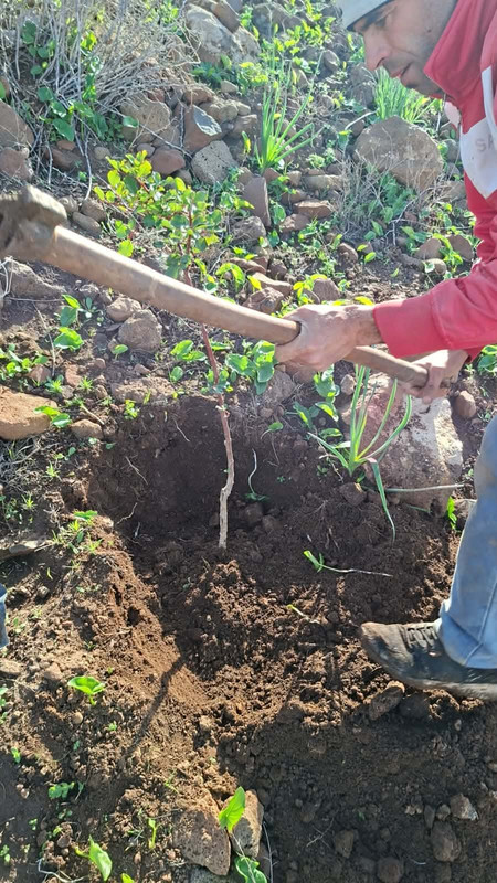 618492381-825241327211202-2645520815757626314-n