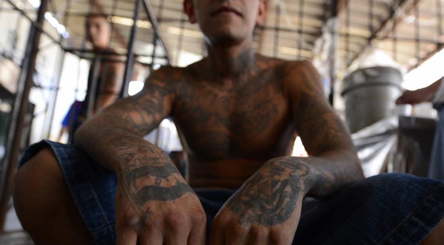Mara Salvatrucha - война кланов, зверства и власть ультрас Mara Salvatrucha - война кланов, зверства и власть ультрас