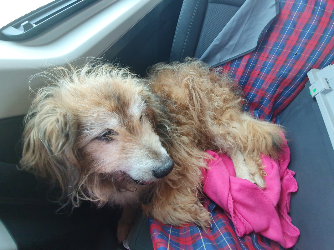 [Image: 20220512-135622.jpg]