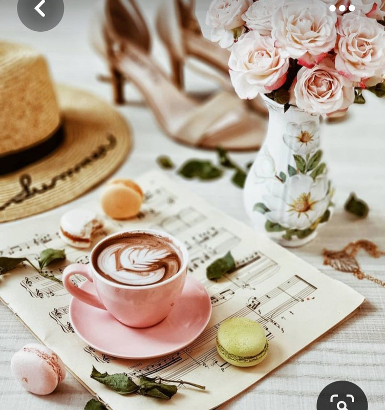 Screenshot_20230603_213132_Pinterest