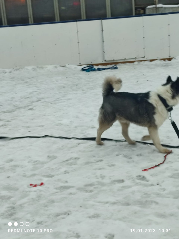 4ED4B92D-D603-4721-9181-E0E1FB6B7662