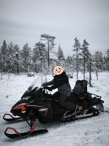--DÍA 4 (2 diciembre): Tour Renos, Huskys y Moto de nieve - Rovaniemi 2025 (3)