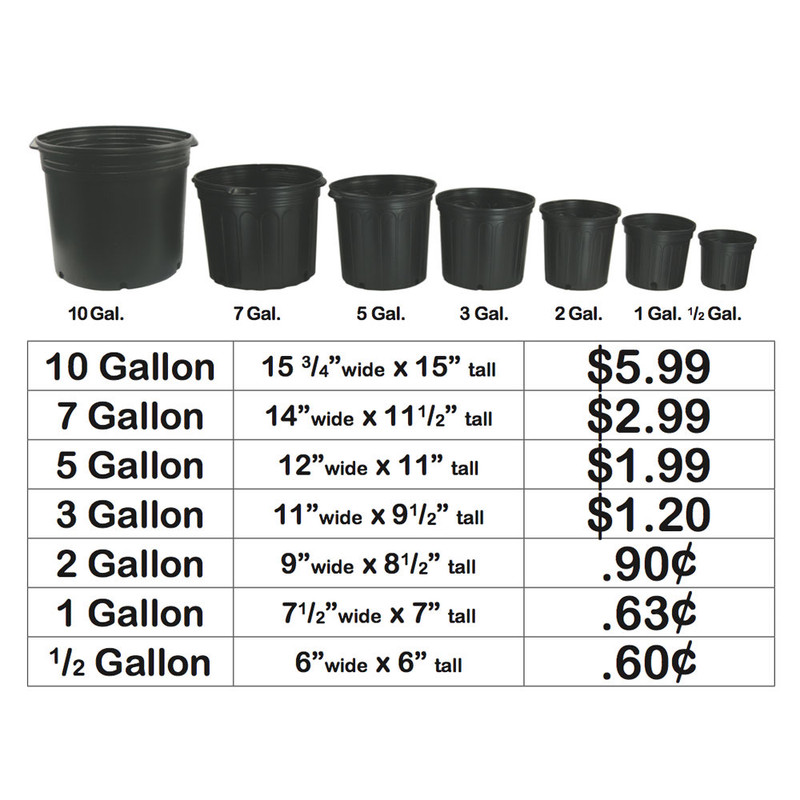 7 Gallon Plants Home Garden 7-gallon-plants-home-garden