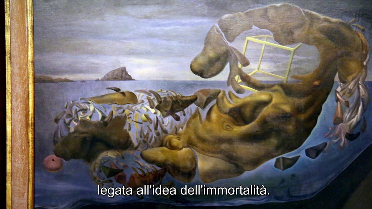 vlcsnap-2023-01-23-13h52m02s090