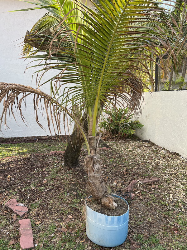 FE9BE6DA-50CE-4F58-A491-292A10826CA3