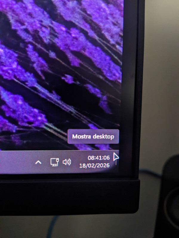 PXL 20260218 084058432