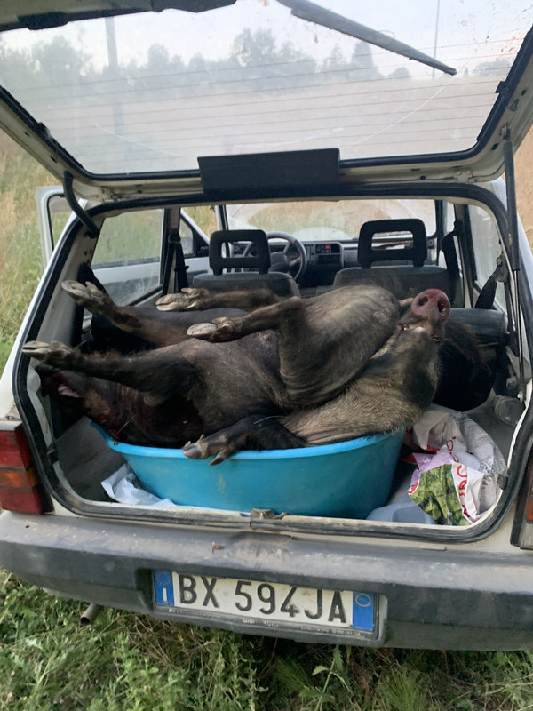 6A90BAF0-DCD4-4395-9731-B52150ECE44B