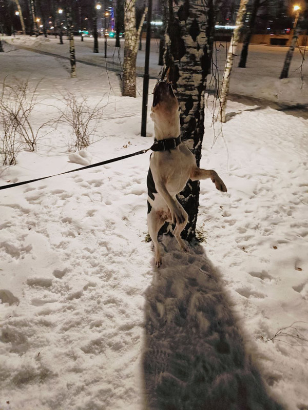 505605D3-3C8C-4996-B47B-A24934F61C35