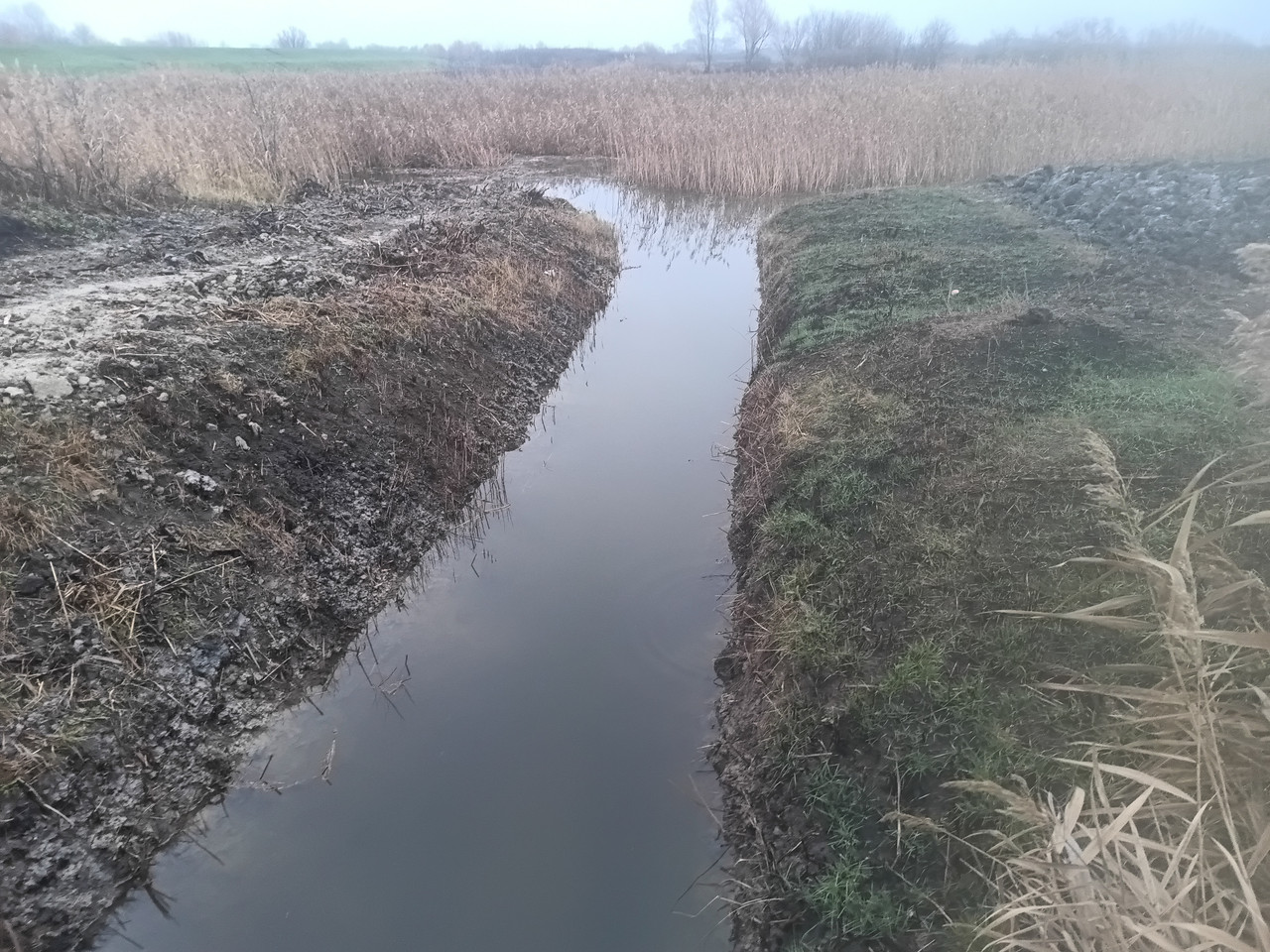 IMG 20251207 152417 353