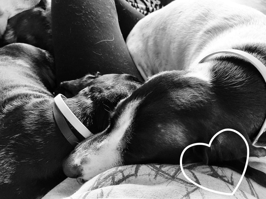 [Image: received-1523220121520032.jpg]