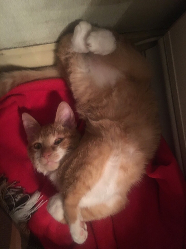 13D080E7-B425-470F-827C-91CBE1AD7B9E