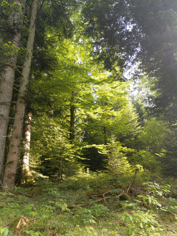 01CF17C3-E436-4E56-8ECF-84B2D158DA06