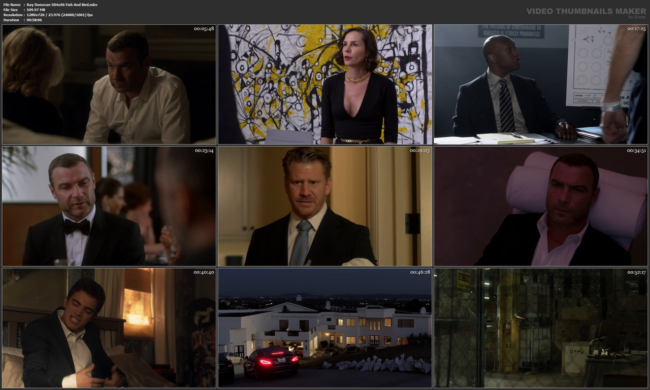 Ray Donovan S04e06 Fish And Bird.mkv
