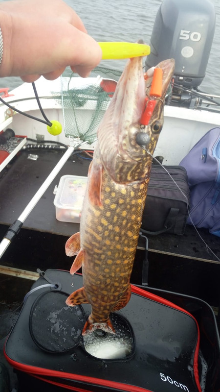 5 Геримантас Лилейка Каунасское отзыв джиг спиннинг рыбалка  бле