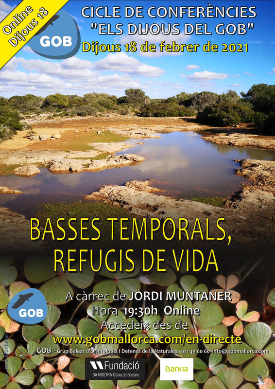 bases temporals 1 prueba-página001 (1)