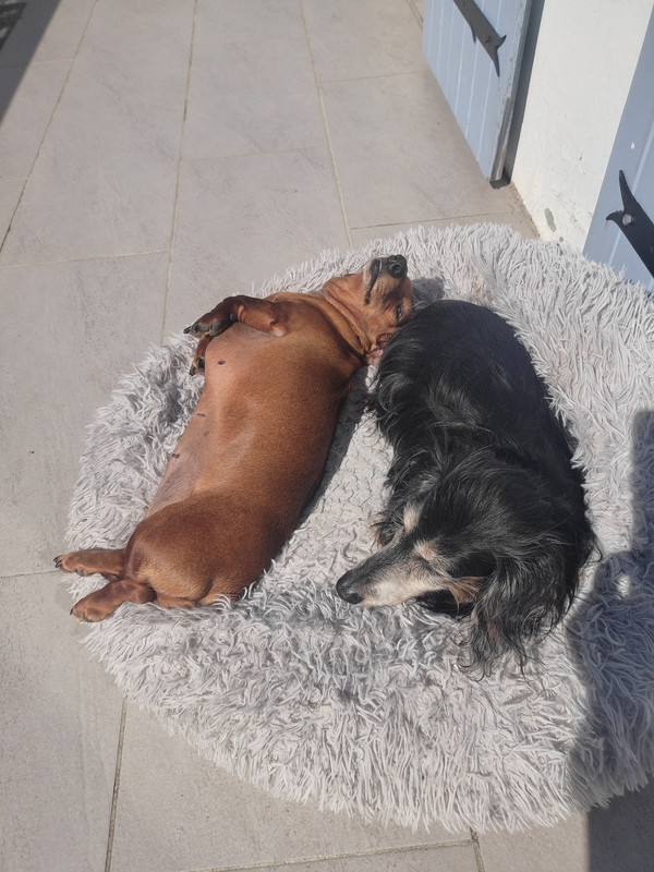 [Image: IMG-20250331-150820.jpg]