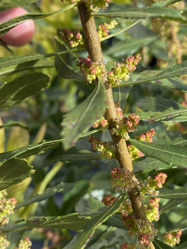 B947A2BB-6338-4D09-8094-9B740A29CCFD