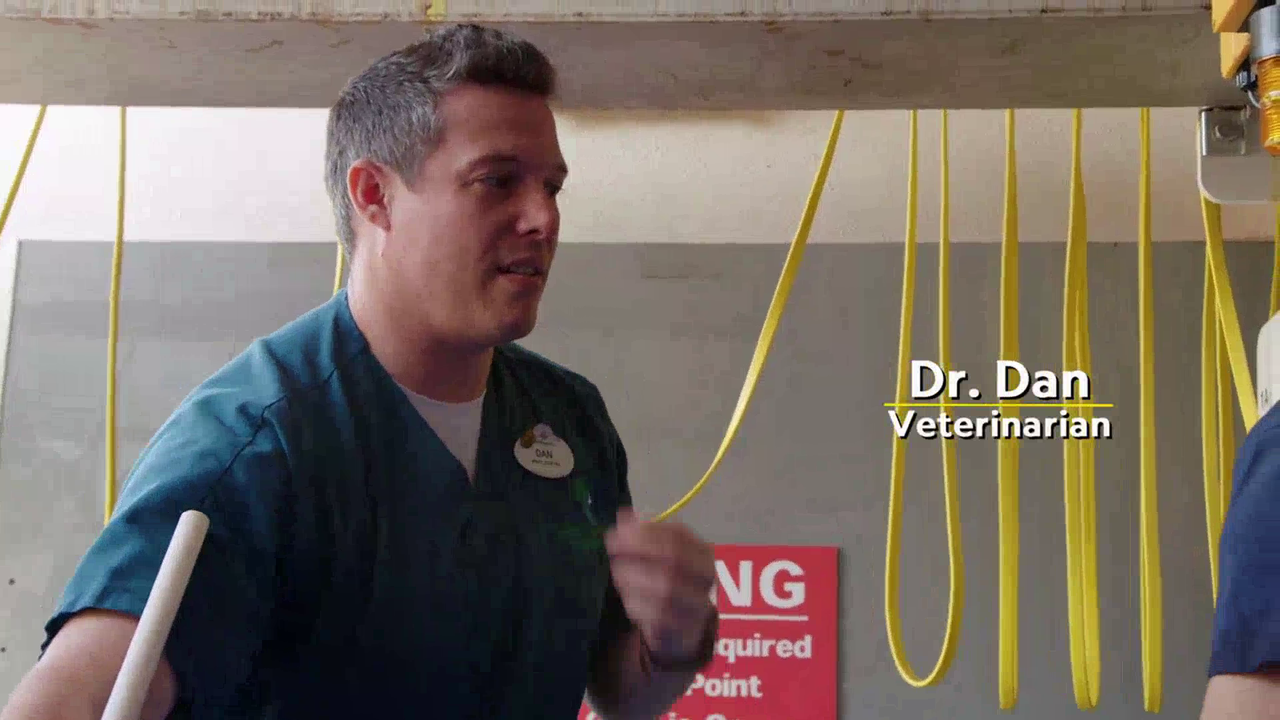 vlcsnap-2022-10-06-21h44m51s635