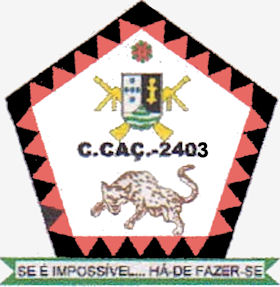 CCac2403