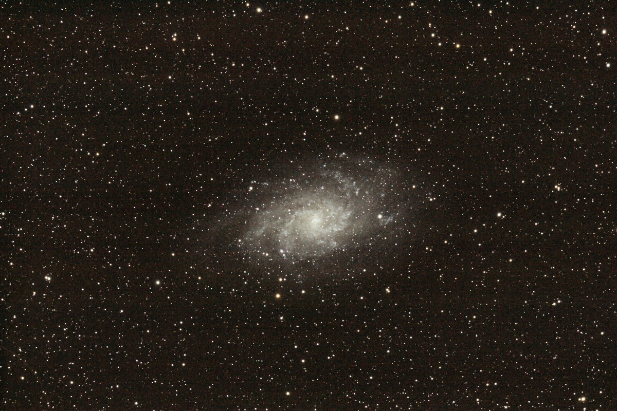 m3323.jpg